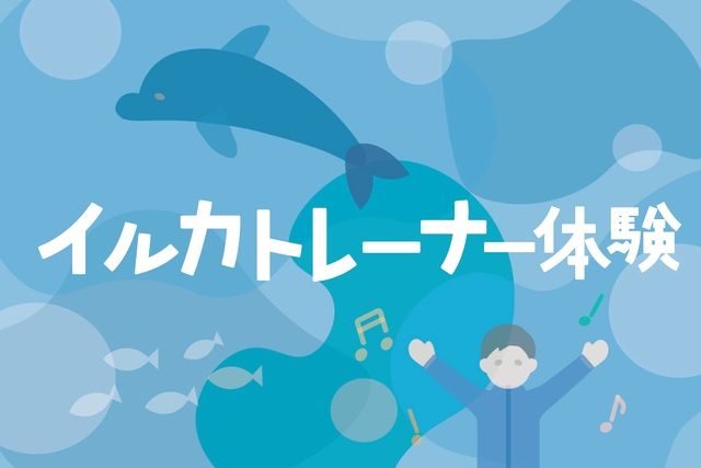 南知多ビーチランド【イルカトレーナー体験 ②MCチャレンジコース】※別途入園料必要 南知多ビーチランド【イルカトレーナー体験 ②MCチャレンジコース】※別途入園料必要