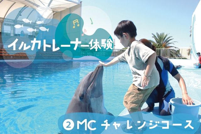 南知多ビーチランド【イルカトレーナー体験 ②MCチャレンジコース】※別途入園料必要 南知多ビーチランド【イルカトレーナー体験 ②MCチャレンジコース】※別途入園料必要