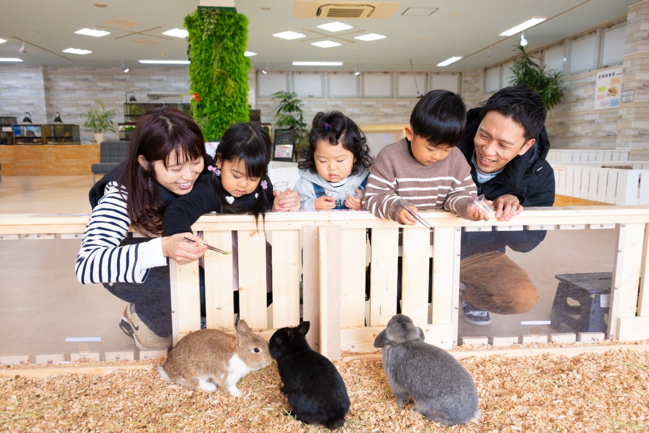 南知多ビーチランド&南知多おもちゃ王国入園券+ZOOっともパーク入館セット券 南知多ビーチランド&南知多おもちゃ王国入園券+ZOOっともパーク入館セット券