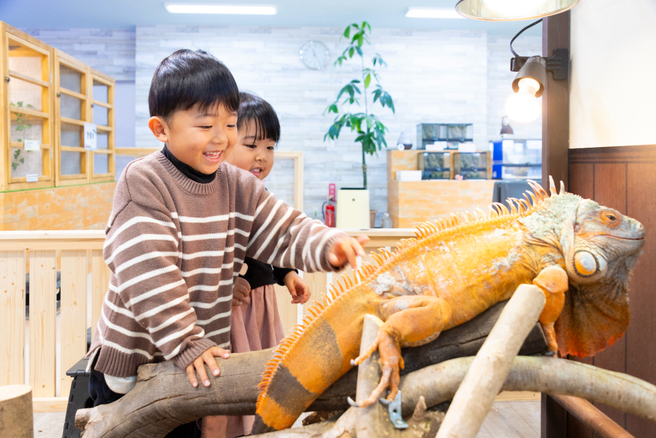 南知多ビーチランド&南知多おもちゃ王国入園券+ZOOっともパーク入館セット券 南知多ビーチランド&南知多おもちゃ王国入園券+ZOOっともパーク入館セット券