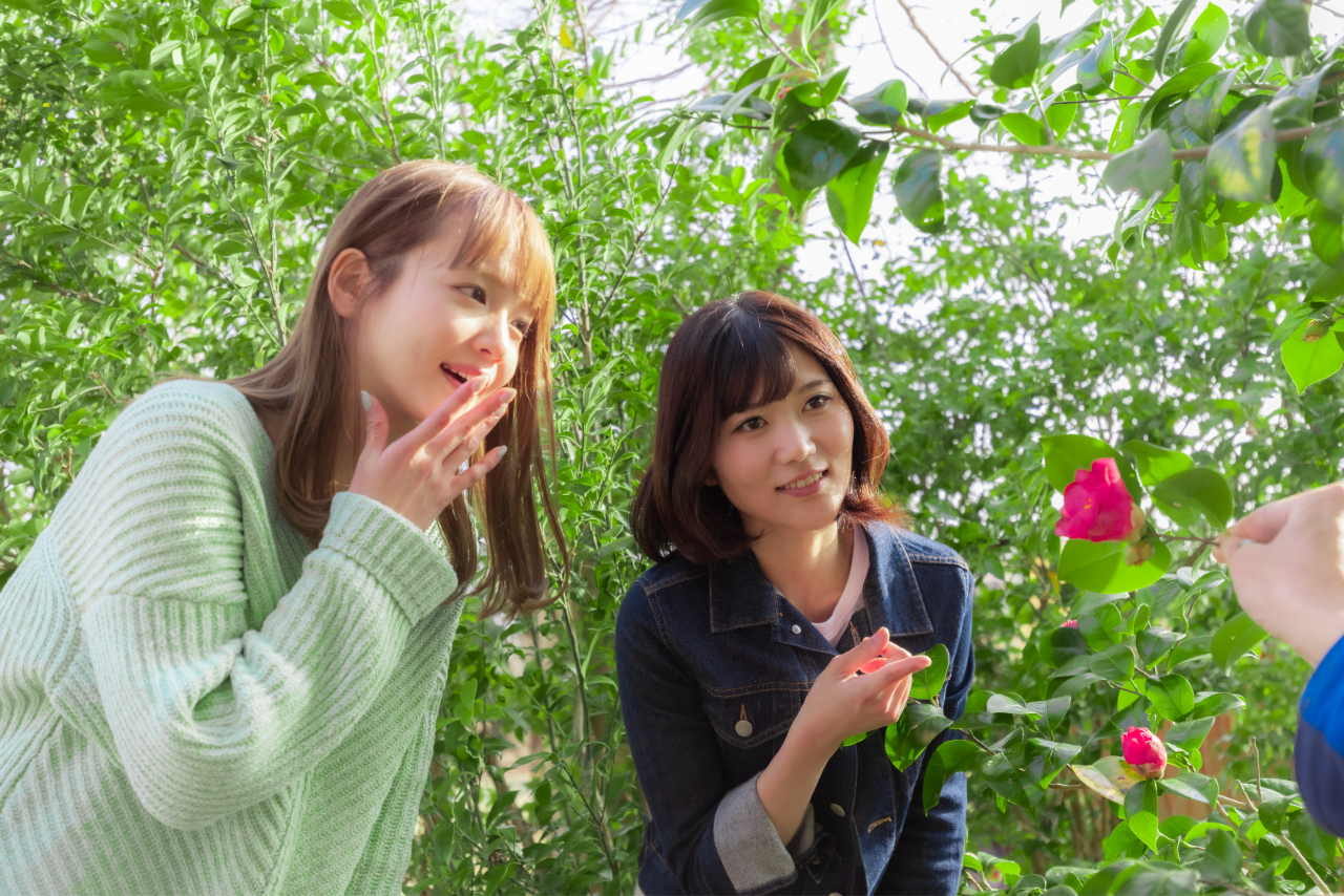 どんぐりの森ガイドウォーク どんぐりの森ガイドウォーク