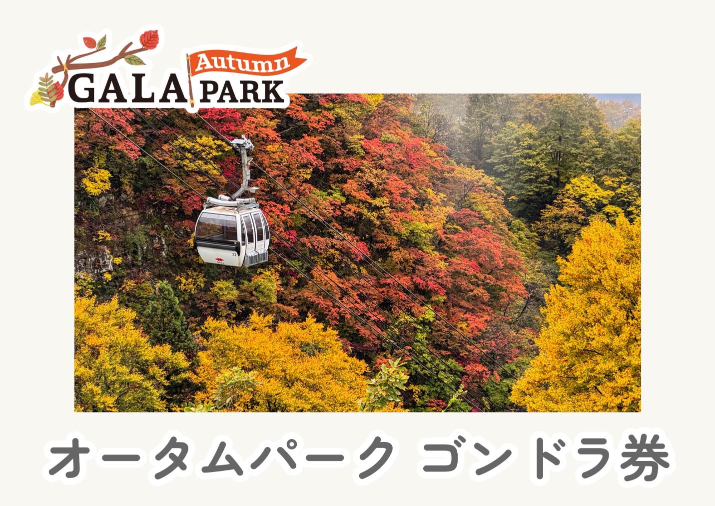 【購入日から翌日以降に利用可能】GALAオータムパークゴンドラ券 【購入日から翌日以降に利用可能】GALAオータムパークゴンドラ券