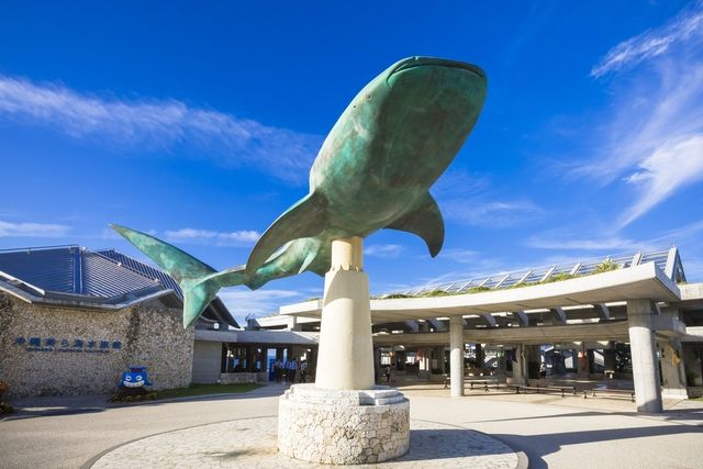 【2026年 夏季web限定販売】17時以降は2割引 沖縄美ら海水族館 前売券 【2026年 夏季web限定販売】17時以降は2割引 沖縄美ら海水族館 前売券