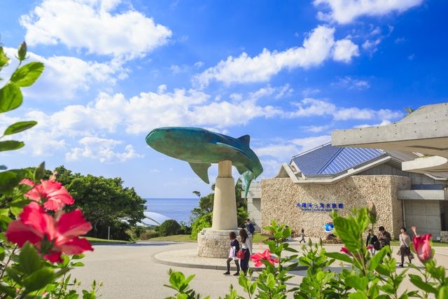 【2026年 夏季web限定販売】17時以降は2割引 沖縄美ら海水族館 前売券 【2026年 夏季web限定販売】17時以降は2割引 沖縄美ら海水族館 前売券