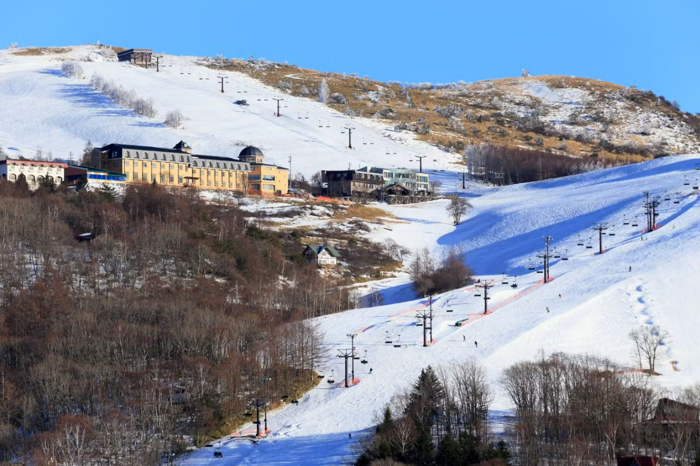 超特割!【1,000円割引】白樺湖ロイヤルヒル リフト1日券 12/13~3/29 超特割!【1,000円割引】白樺湖ロイヤルヒル リフト1日券 12/13~3/29