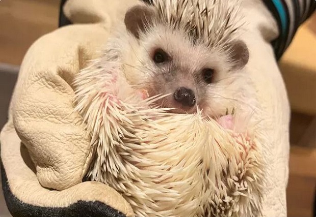 ｈａｒｒｙ ｙｏｋｏｈａｍａ 元町 中華街 カフェ 喫茶 地域共通クーポン Goo地図