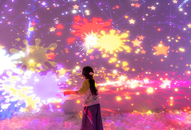 リトルプラネット ダイバーシティ東京 プラザ 2枚目