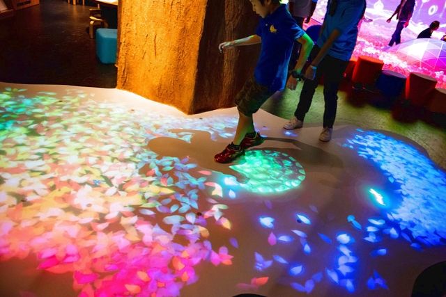 【初回限定】最大300円引き!リトルプラネット ダイバーシティ東京 プラザ フリーパス 【初回限定】最大300円引き!リトルプラネット ダイバーシティ東京 プラザ フリーパス