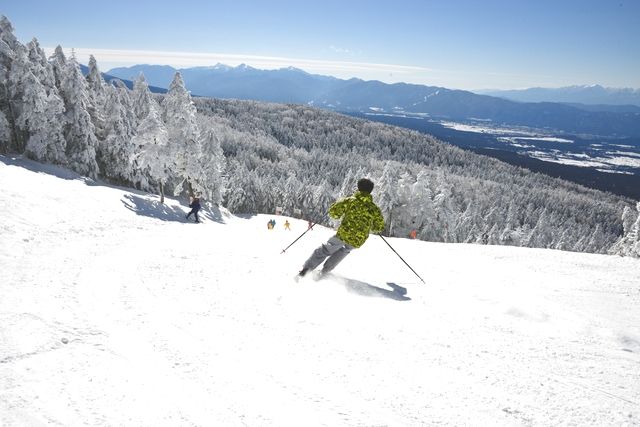 【お得なWEBチケット】ピラタス蓼科スノーリゾート リフト1日券 【お得なWEBチケット】ピラタス蓼科スノーリゾート リフト1日券