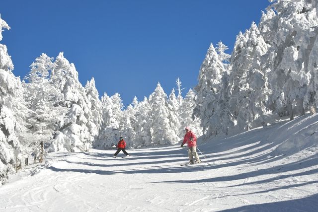 【お得なWEBチケット】ピラタス蓼科スノーリゾート リフト1日券 【お得なWEBチケット】ピラタス蓼科スノーリゾート リフト1日券