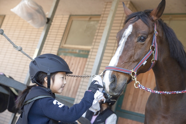 TRC乗馬クラブ小淵沢 写真4