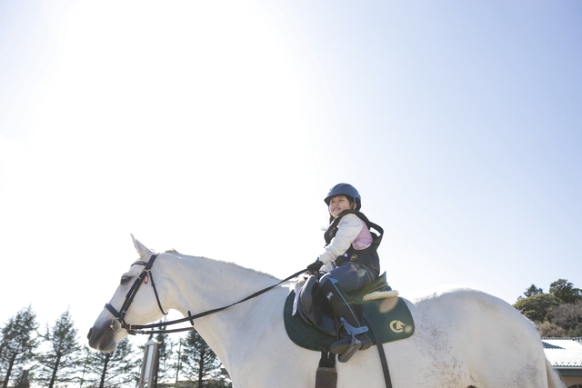 TRC乗馬クラブ小淵沢 写真5