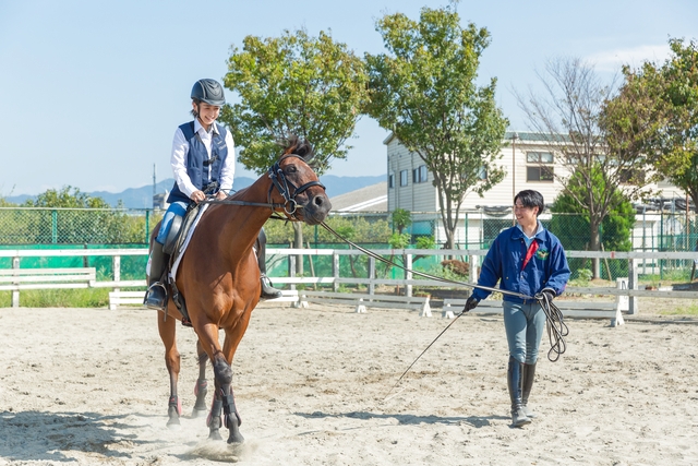 乗馬クラブ クレイン福岡 写真7