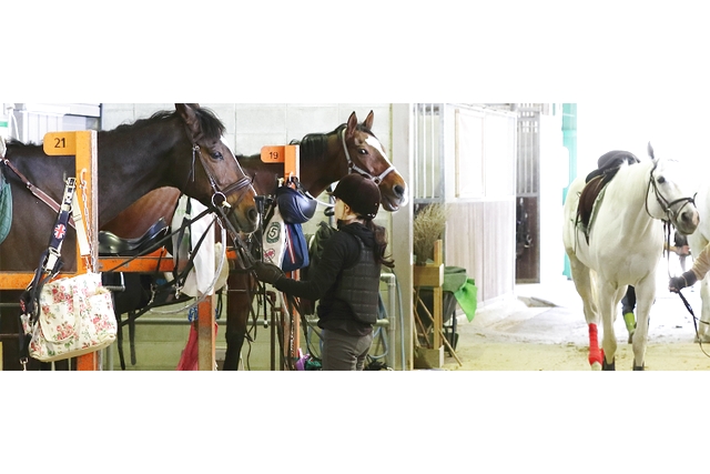 乗馬クラブ クレイン福岡