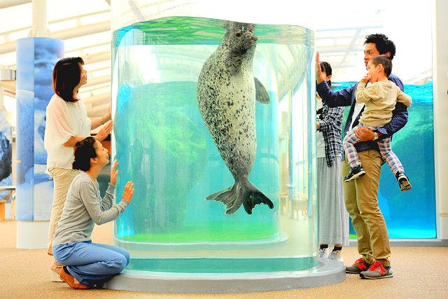 京都鉄道博物館×京都水族館 写真7