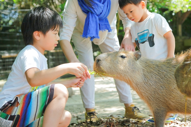 長崎バイオパーク 写真2