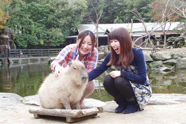 長崎バイオパーク 写真6