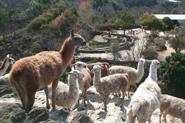 長崎バイオパーク 写真8