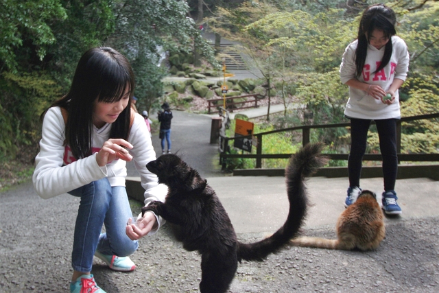 長崎バイオパーク 写真5