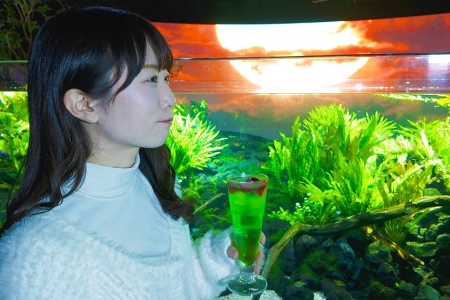 【WEB限定・20%割引】おひとり様クリスマスキャンペーンチケット 【WEB限定・20%割引】おひとり様クリスマスキャンペーンチケット