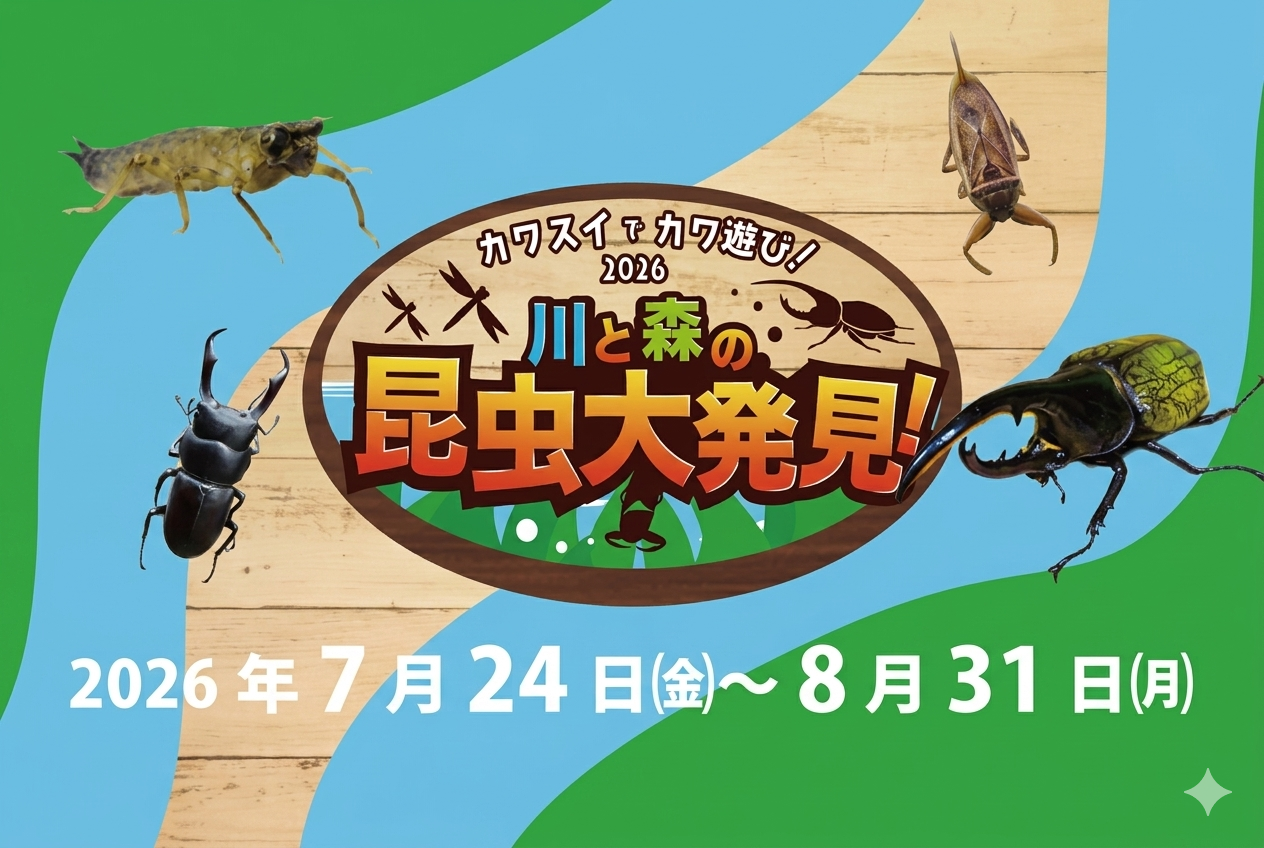 人気の昆虫とふれあえる「カブトムシふれあいパーク」 人気の昆虫とふれあえる「カブトムシふれあいパーク」