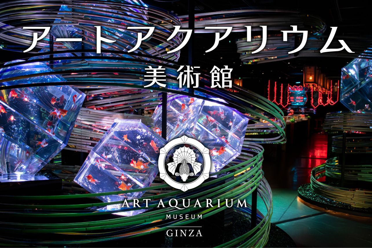 【銀座駅直結】アートアクアリウム美術館 GINZA 日時指定入場券 【銀座駅直結】アートアクアリウム美術館 GINZA 日時指定入場券