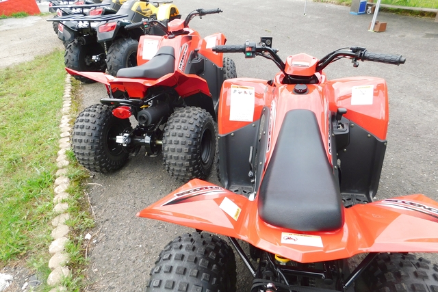 雨の日 お出かけ 関西 の遊び 体験 アソビュー