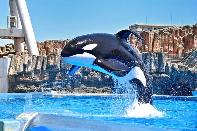 名古屋港水族館 写真2