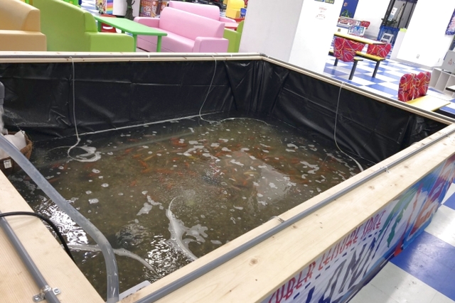 Kid's US.LANDイオン海老名店 写真3