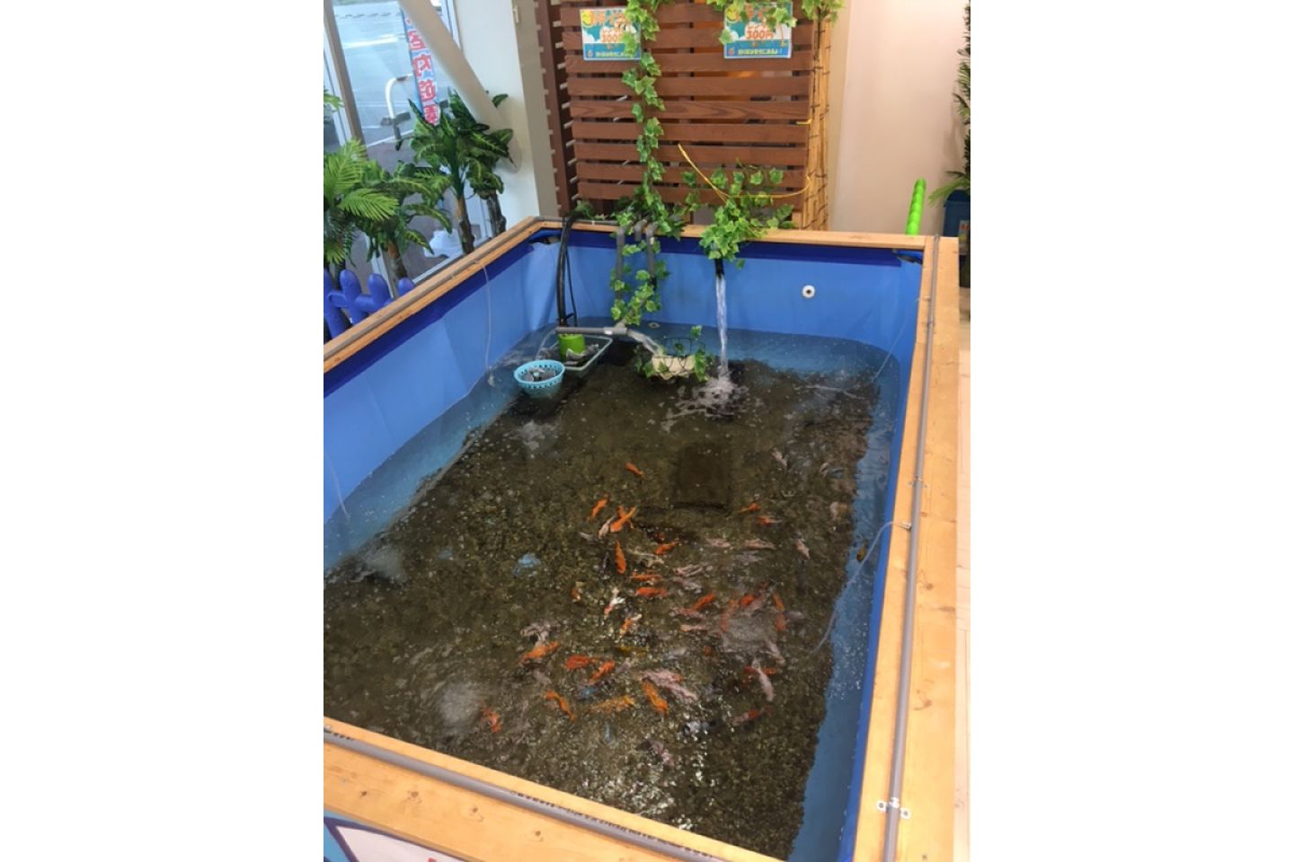 Kid's US.LAND　イオンタウン加古川店 写真5