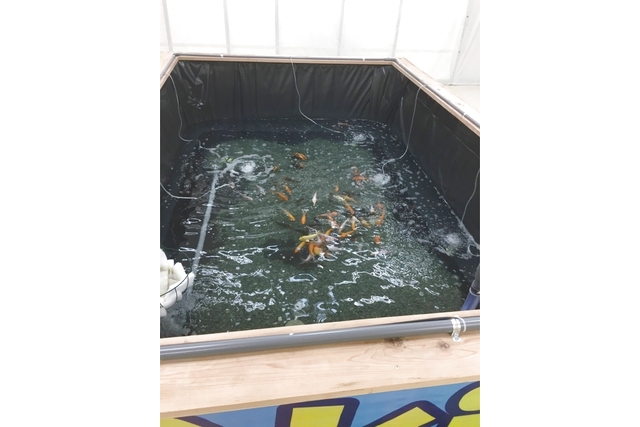 みんトクバナー