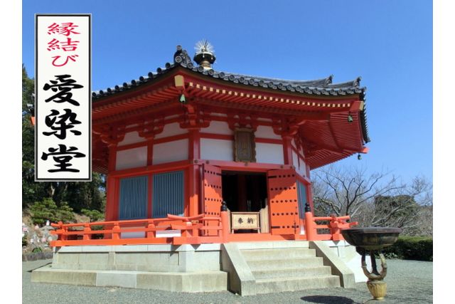 下田ロープウェイ 写真8