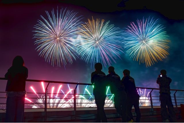 富士山花火 VS スピードウェイ 2026_駐車場(場所指定なし) 富士山花火 VS スピードウェイ 2026_駐車場(場所指定なし)