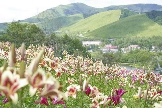 【200円割引】池の平ファミリーランド入園+花めぐり セット券 【200円割引】池の平ファミリーランド入園+花めぐり セット券