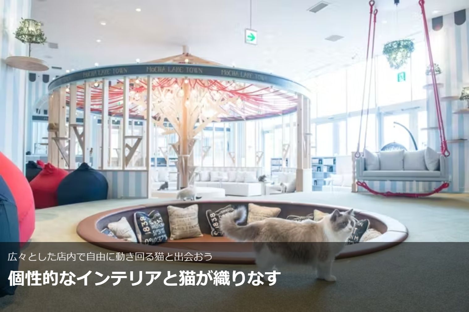 超特割!【20%割引】猫カフェモカ イオンレイクタウン 入場チケット(ドリンクバー・猫のおやつ) 超特割!【20%割引】猫カフェモカ イオンレイクタウン 入場チケット(ドリンクバー・猫のおやつ)