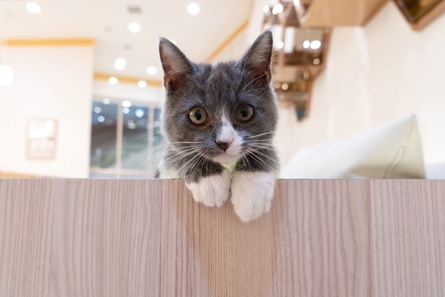 海浜幕張駅周辺のおすすめネットカフェ マンガ 2件 Goo地図