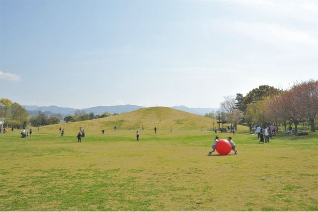 香川県のオプショナルツアー アクティビティ 遊びの体験予約 日本旅行