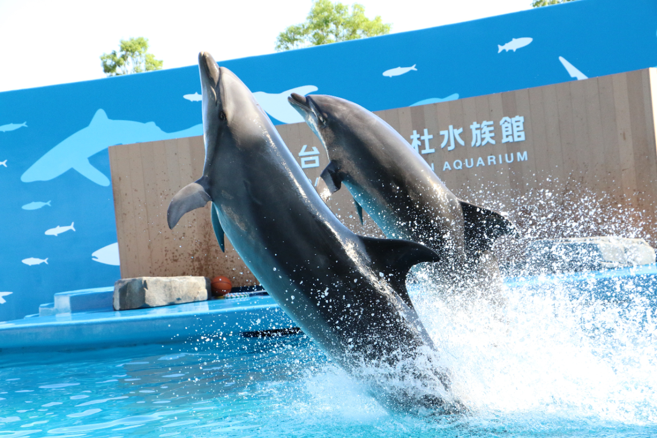 【7044】仙台うみの杜水族館 チケット売場に並ばずに入館できる WEB入館券 【7044】仙台うみの杜水族館 チケット売場に並ばずに入館できる WEB入館券