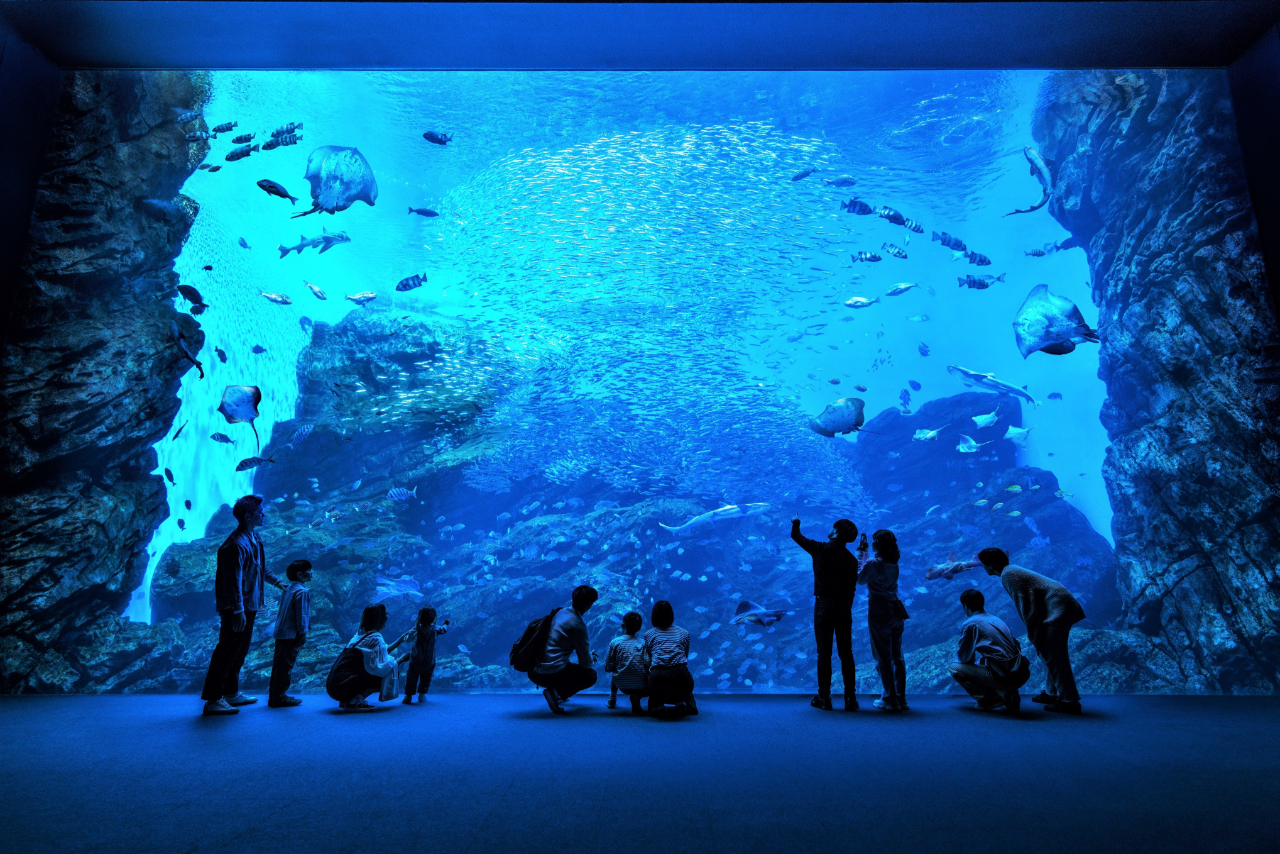 【7044】仙台うみの杜水族館 チケット売場に並ばずに入館できる WEB入館券 【7044】仙台うみの杜水族館 チケット売場に並ばずに入館できる WEB入館券
