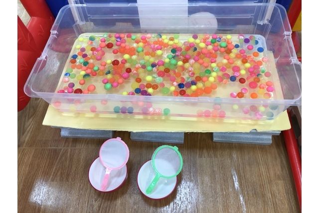 ザキッズ ワイプラザ福井南店