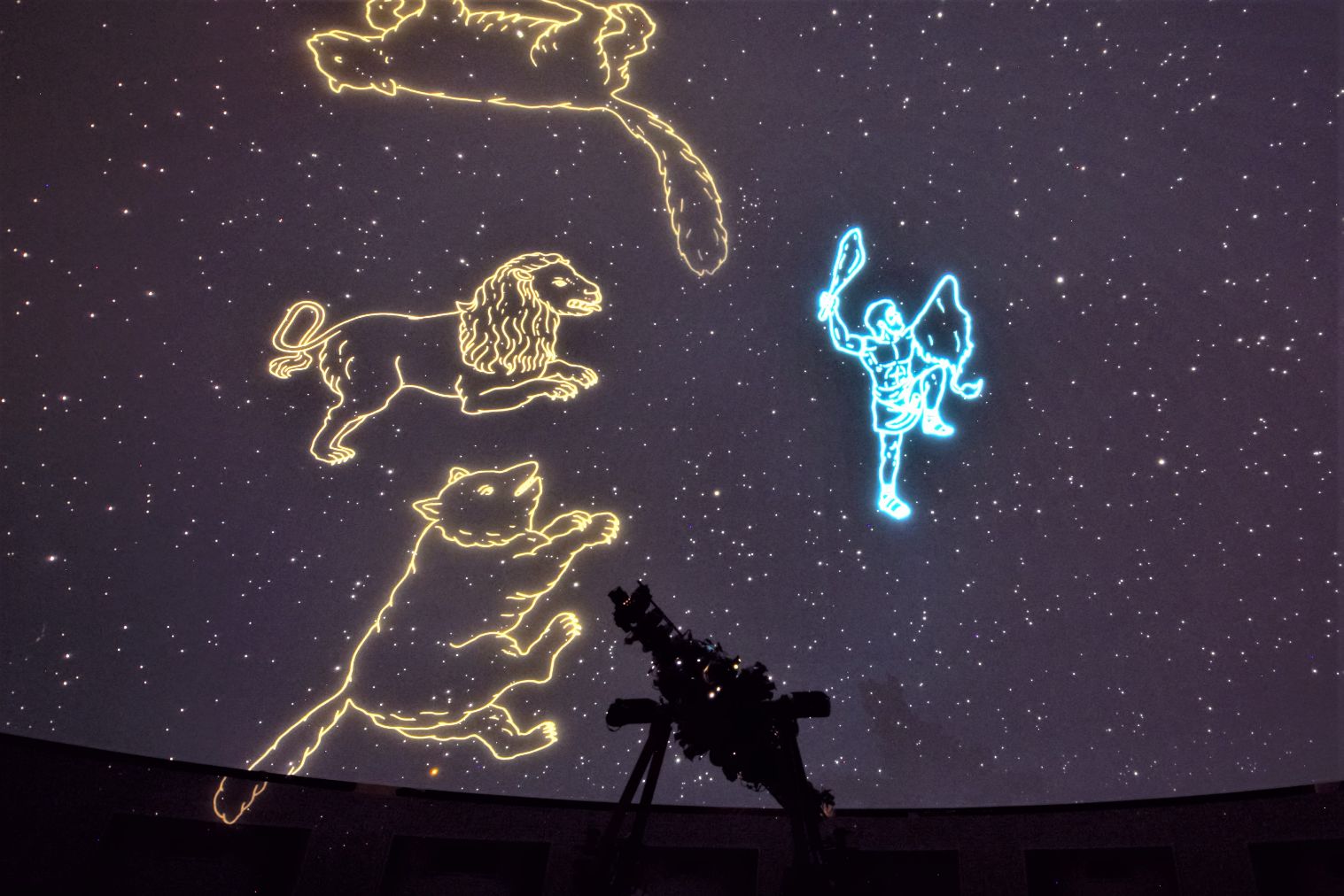 【長野・八ヶ岳の麓 星降る里 原村】プラネタリウムと触れる世界のカブトムシ!自然観察科学館 入館料 【長野・八ヶ岳の麓 星降る里 原村】プラネタリウムと触れる世界のカブトムシ!自然観察科学館 入館料