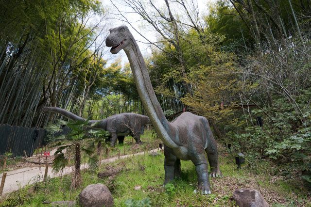 みろくの里 2枚目