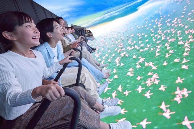 九州一 大花火まつり 1DAYパスポート 九州一 大花火まつり 1DAYパスポート