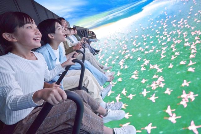 カウントダウン1DAYパスポート カウントダウン1DAYパスポート