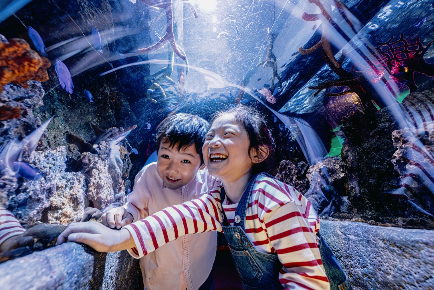 ★【当日券】レゴランドⓇ・ジャパン・リゾート 名古屋シーライフ水族館 1DAYパスポート ★【当日券】レゴランドⓇ・ジャパン・リゾート 名古屋シーライフ水族館 1DAYパスポート