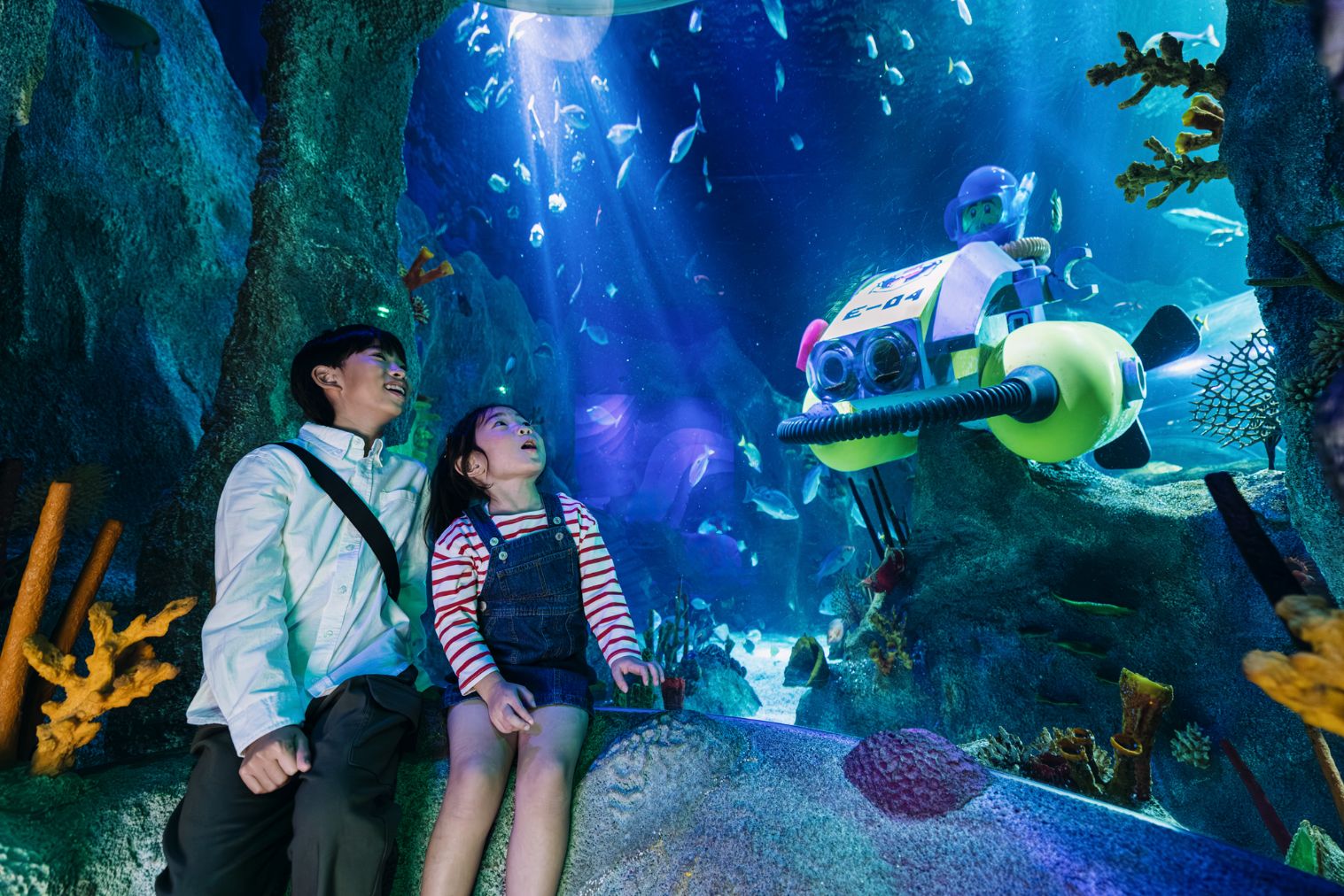 ★【当日券】レゴランドⓇ・ジャパン・リゾート 名古屋シーライフ水族館 1DAYパスポート ★【当日券】レゴランドⓇ・ジャパン・リゾート 名古屋シーライフ水族館 1DAYパスポート