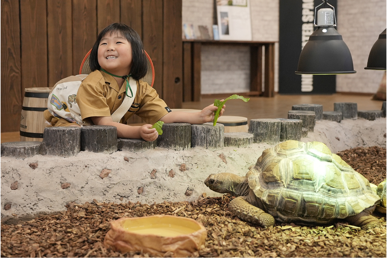 【いきもの餌やり体験付き】2館共通券(奈良いきものミュージアム × 奈良金魚ミュージアム) 【いきもの餌やり体験付き】2館共通券(奈良いきものミュージアム × 奈良金魚ミュージアム)