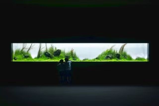 AOAO SAPPORO 入館券 AOAO SAPPORO 入館券