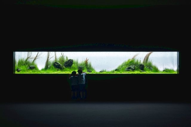 AOAO SAPPORO 入館券(障がい者割)※当日証明書確認 AOAO SAPPORO 入館券(障がい者割)※当日証明書確認