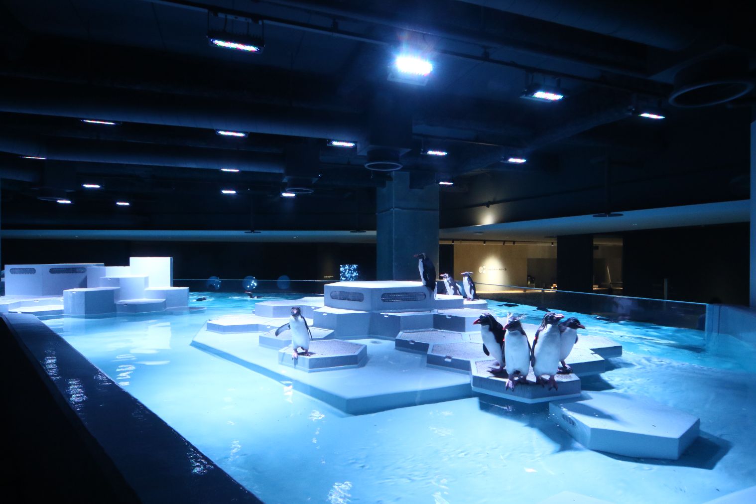 AOAO SAPPORO 入館券(障がい者割)※当日証明書確認 AOAO SAPPORO 入館券(障がい者割)※当日証明書確認